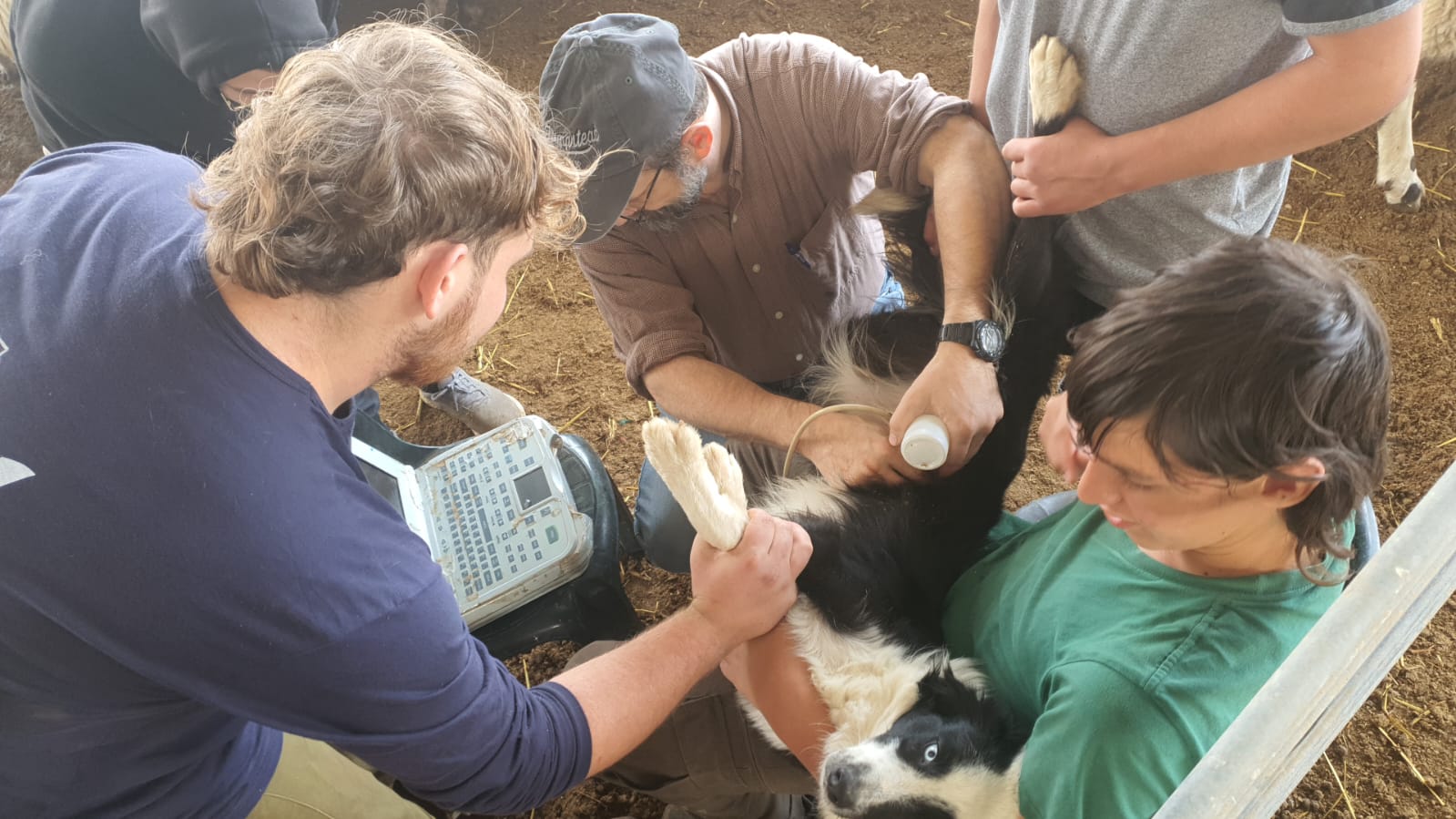 9077a32f-952e-48cf-bd7c-ad3e2e02f606